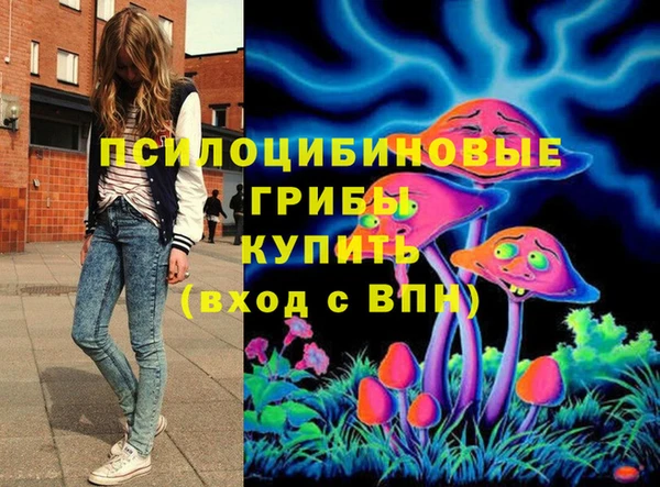 гидропоника Алзамай