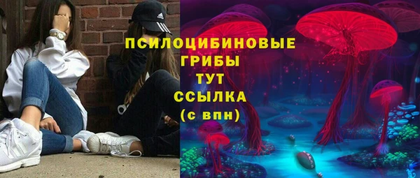 гидропоника Алзамай