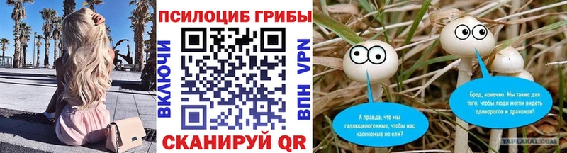 Галлюциногенные грибы Psilocybine cubensis  продажа наркотиков  Усинск 